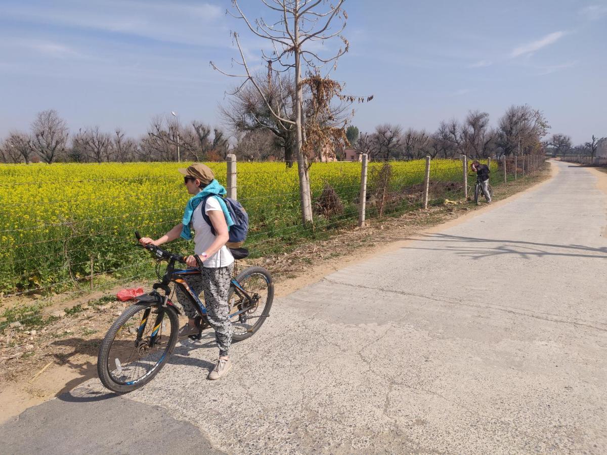 Tourist Pension Nawalgarh Exteriér fotografie